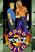 Фильмография Уиллиам ДеМотт - лучший фильм WCW Дикая дорога.