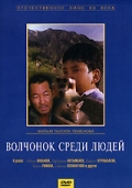 Фильмография Ботагоз Нурлыбаева - лучший фильм Волчонок среди людей.