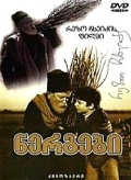 Фильмография Сесилия Такаишвили - лучший фильм Саженцы.