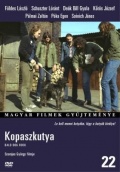 Фильмография Janos Szenich - лучший фильм Kopaszkutya.