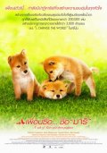 Фильмография Акико Матсумото - лучший фильм История Мари и трех щенков.