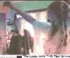 Фильмография Джон Брайсон - лучший фильм The Lady and the Taxi Driver.