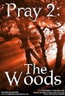 Фильмография Christopher Houldsworth - лучший фильм Pray 2: The Woods.