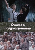 Фильмография Дмитрий Липскеров - лучший фильм Особое подразделение.