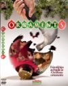Фильмография Джордана Оберман - лучший фильм Ornaments.