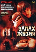 Фильмография Ксения Ильясова - лучший фильм Запах жизни.