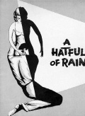 Фильмография Дон Мюррэй - лучший фильм Шляпа, полная дождя.