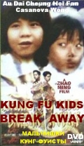 Фильмография Чунг Хой Фэн - лучший фильм San mao liu lang ji.