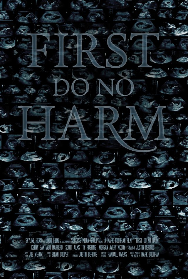 Фильмография Майкл С. Томас - лучший фильм First, Do No Harm.