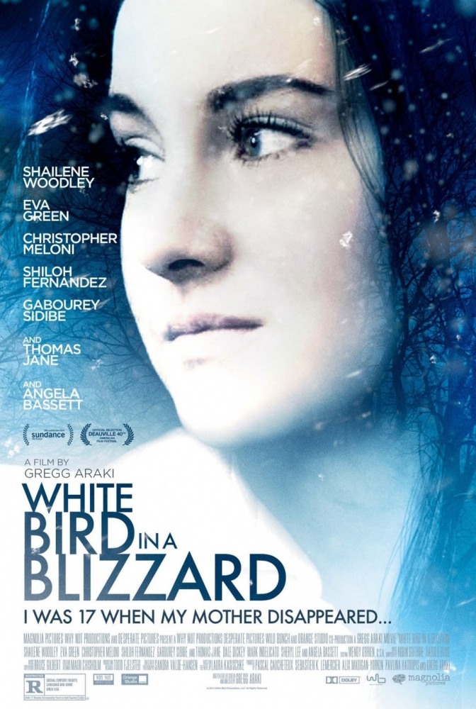 Фильмография Габури Сидибе - лучший фильм Белая птица в метели.