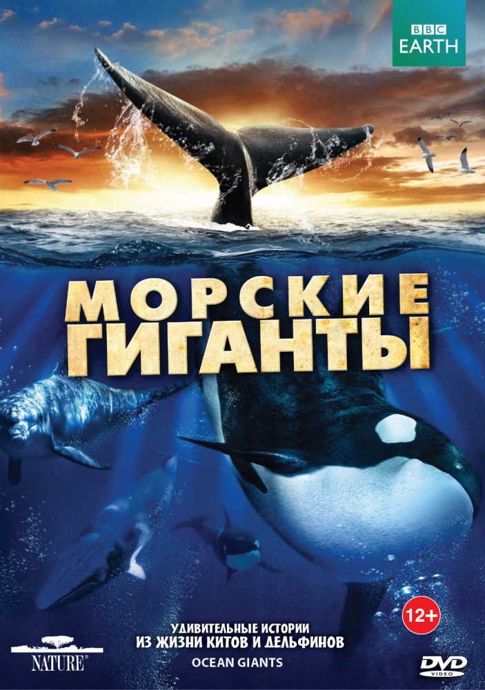 Фильмография Джон Дурбан - лучший фильм BBC: Морские гиганты (сериал).
