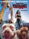 Фильмография Джек Ван Лэндингэм - лучший фильм Ghetto Dawg.