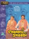 Фильмография Бхарати Ачрекар - лучший фильм Chameli Ki Shaadi.