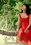 Фильмография Eun-seo Kim - лучший фильм Роща веерных пальм.