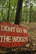 Фильмография Кэйси Смит - лучший фильм Don't Go in the Woods.