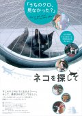 Фильмография Shigeru Kashima - лучший фильм La voie du chat.