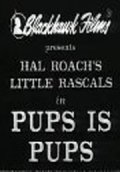 Фильмография Бобби 'Уизер' 'Хатчинс - лучший фильм Щенки есть щенки.