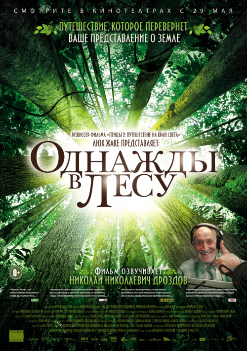 Фильмография Мишель Папинески - лучший фильм Однажды в лесу.