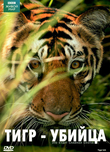 Фильмография Саймон Кинг - лучший фильм BBC: Живой мир - Тигр убийца.