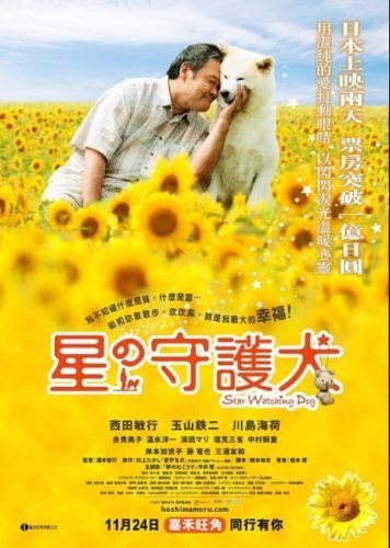 Фильмография Тэцудзи Тамаяма - лучший фильм Пес, смотрящий на звезды.