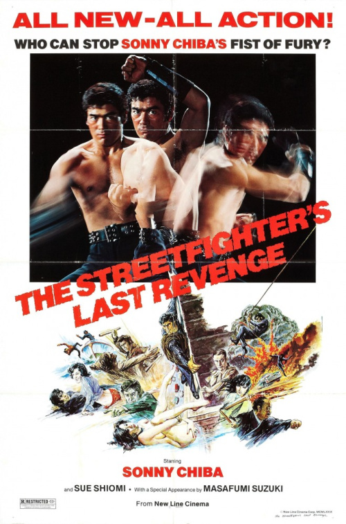 Фильмография Akira Shioji - лучший фильм Последняя месть уличного бойца.
