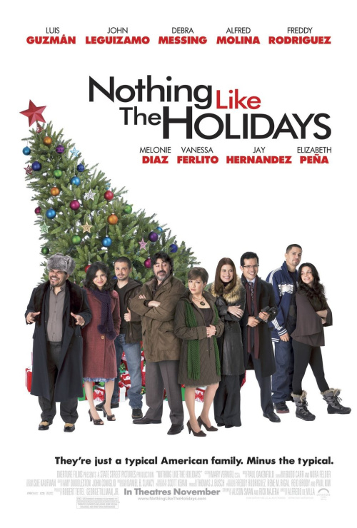 Фильмография  Нидия Родригез - лучший фильм С праздниками ничто не сравнится.
