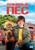 Фильмография Тедди Сирс - лучший фильм Пожарный пес.