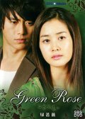 Фильмография Seo-hyeong Kim - лучший фильм Зелёная Роза.