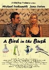 Фильмография Брайан Галлегос - лучший фильм A Bird in the Bush.