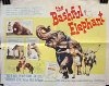Фильмография Гернот Дуда - лучший фильм The Bashful Elephant.