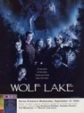 Фильмография Лу Даймонд Филлипс - лучший фильм Волчье озеро (сериал 2001 - 2002).