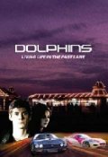 Фильмография Ross Forder - лучший фильм Дельфины.