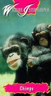 Фильмография Джейн Гудолл - лучший фильм Шимпанзе: Такие же как мы.