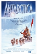 Фильмография Кэн Такакура - лучший фильм Антарктическая повесть.