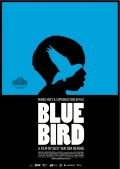 Фильмография Tene Potey - лучший фильм Синяя птица.