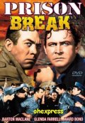 Фильмография Гай Ашер - лучший фильм Prison Break.