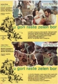Фильмография Mate Ergovic - лучший фильм U gori raste zelen bor.