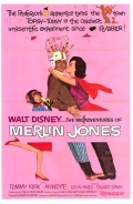 Фильмография Стюарт Эрвин - лучший фильм The Misadventures of Merlin Jones.