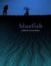 Фильмография Пол Бэрри - лучший фильм Bluefish.