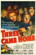 Фильмография Клодетт Колбер - лучший фильм Three Came Home.