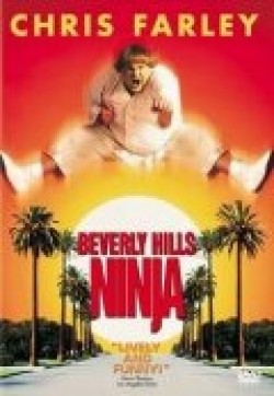 Фильм Ниндзя из Беверли Хиллз : актеры, трейлер и описание.