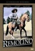 Фильм Remolino : актеры, трейлер и описание.