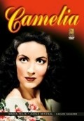 Фильм Камелия : актеры, трейлер и описание.
