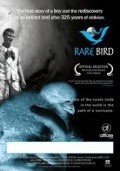 Фильм Rare Bird : актеры, трейлер и описание.