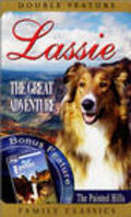 Фильм Lassie's Great Adventure : актеры, трейлер и описание.
