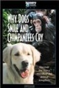 Фильм Why Dogs Smile & Chimpanzees Cry : актеры, трейлер и описание.