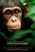 Фильм Шимпанзе : актеры, трейлер и описание.