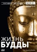 Фильм BBC: Жизнь Будды : актеры, трейлер и описание.