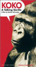 Фильм Коко, говорящая горилла : актеры, трейлер и описание.