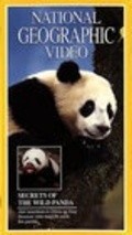Фильм Secrets of the Wild Panda : актеры, трейлер и описание.